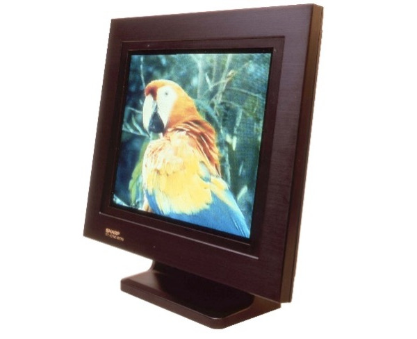 an old-style monitor with wide bezels and image of a parrot