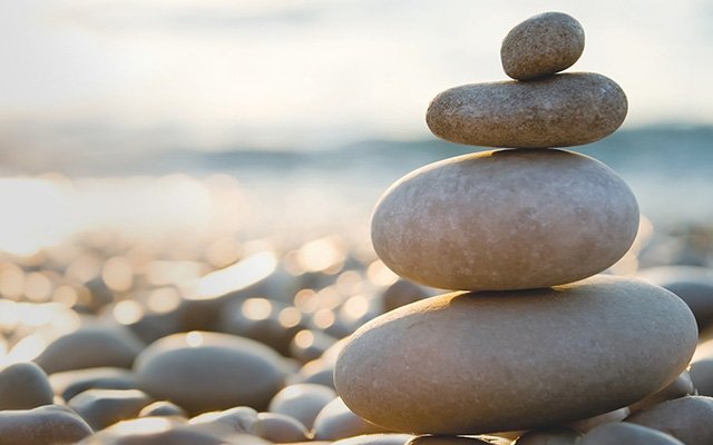 Journey to net-zero: Sharp presents ‘A Lasting Vision’