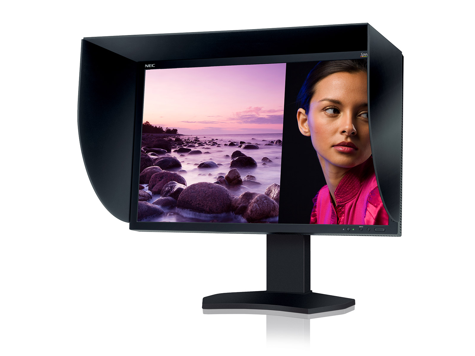 NEC SpectraView<sup>®</sup> Reference 272