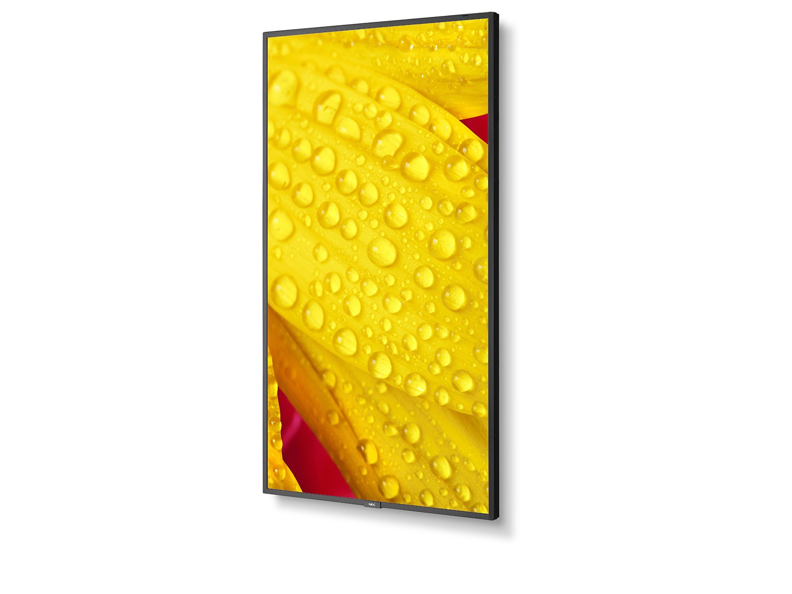 NEC_M1-2-Series_portrait_left_content_1600x1200