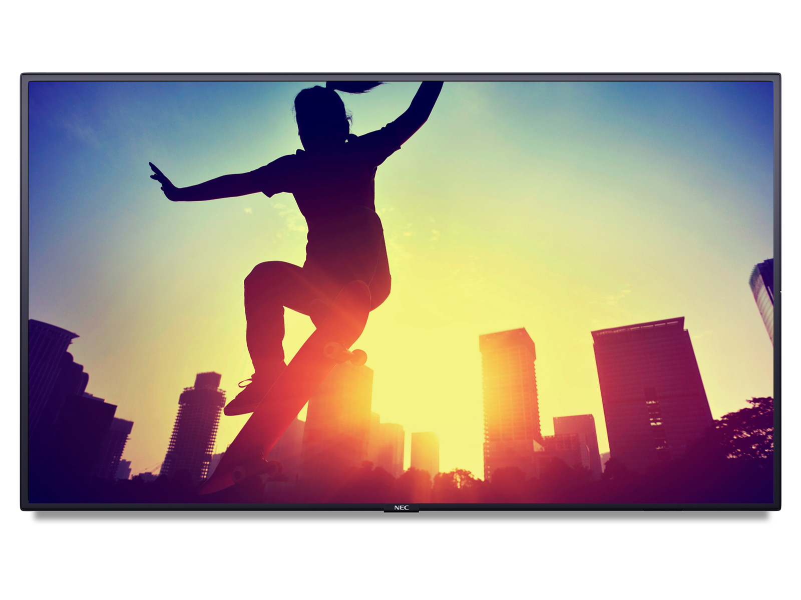 NEC MultiSync<sup>®</sup> P404