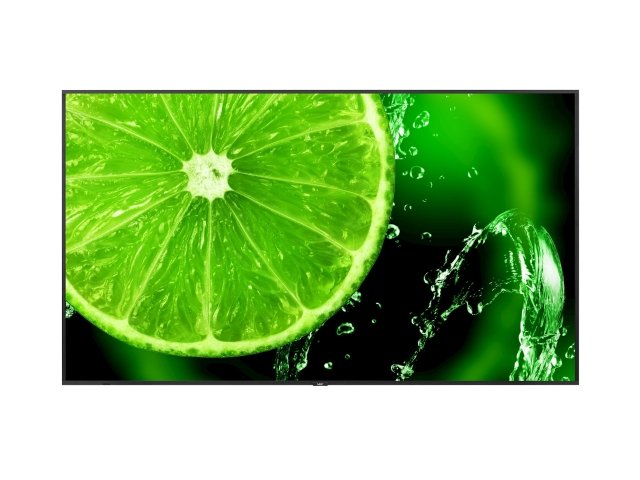 NEC MultiSync® E868