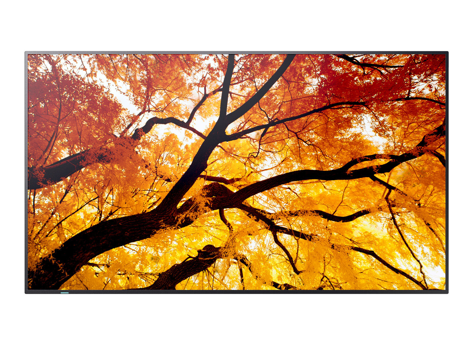 Sharp MultiSync<sup>®</sup> M652