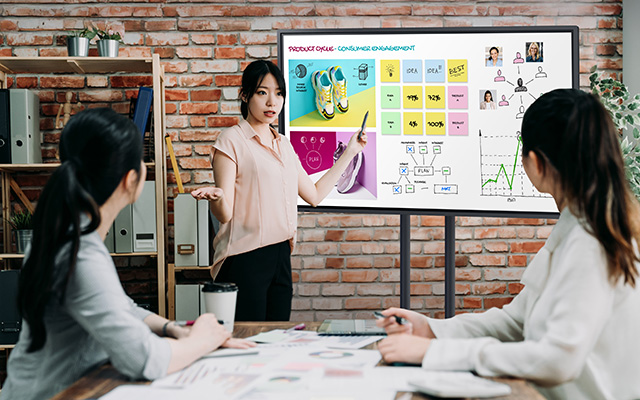 Multi-purpose interactive display